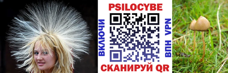 кракен зеркало  Каневская  Псилоцибиновые грибы прущие грибы 